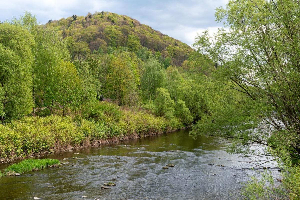 Goscinny Dom Ustroń Eksteriør bilde